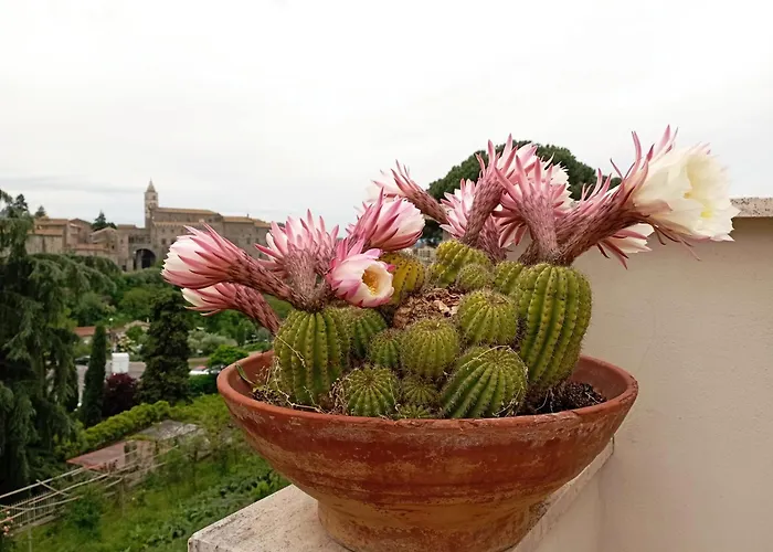 Bed and Breakfast Le Petit Relais Viterbo